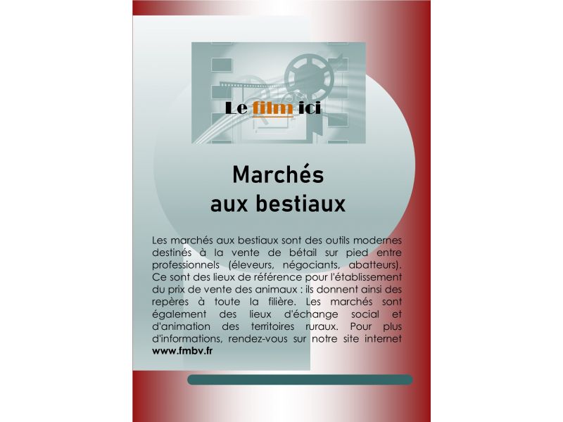 place marché aux veaux