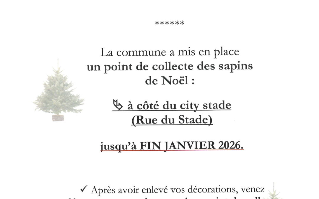 Dépose sapins de Noël