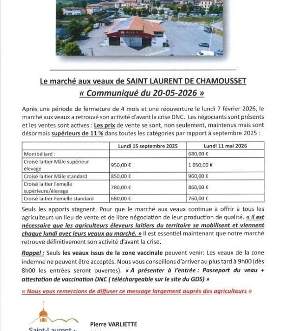Le marché aux veaux
