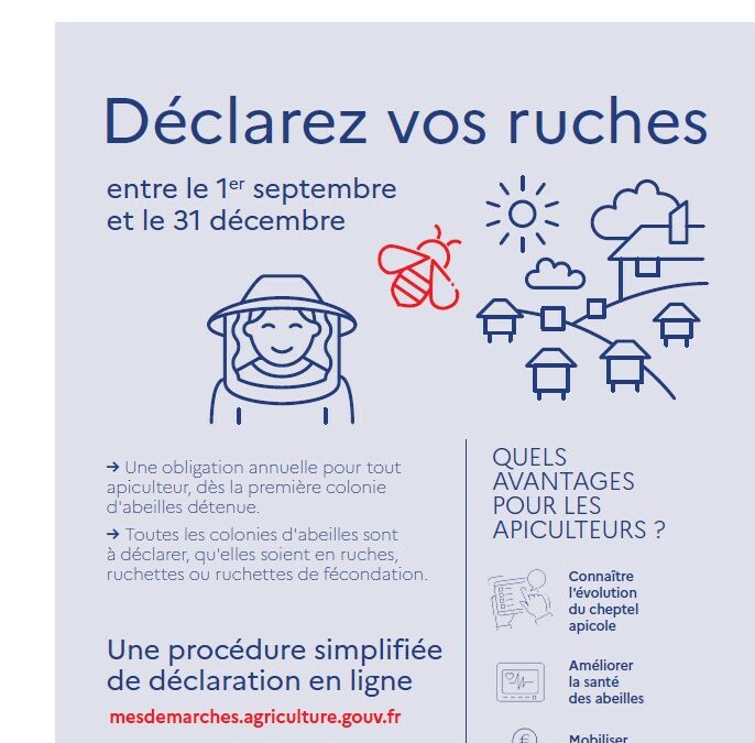 Déclarez vos ruches